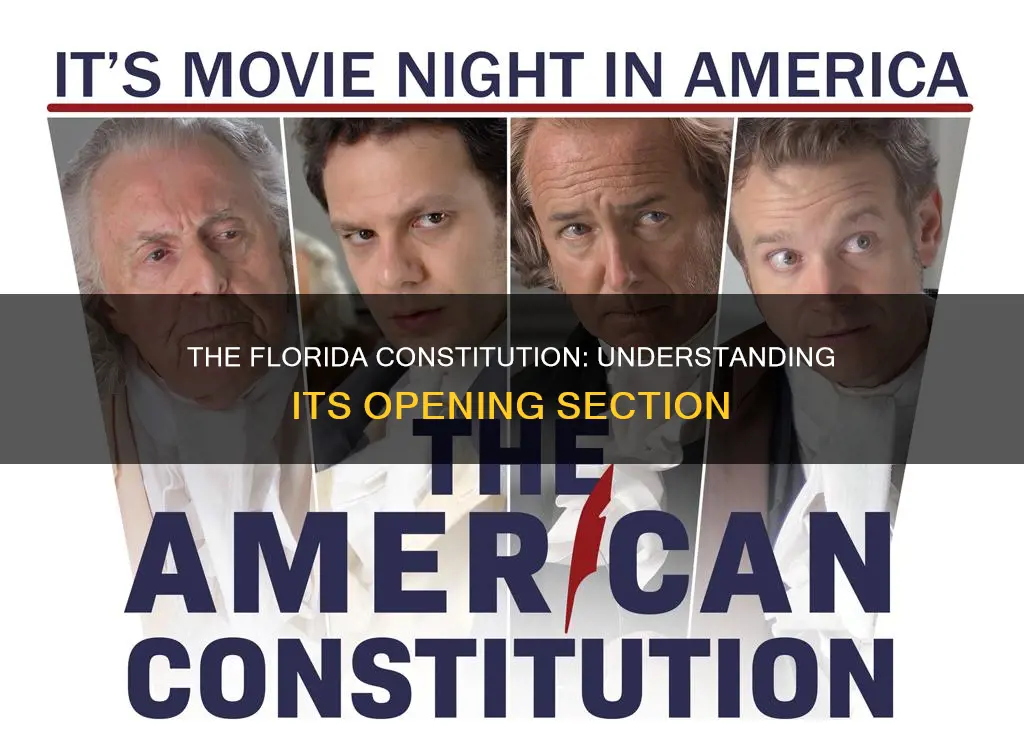 what section does the florida constitution begin with