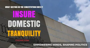The Constitution's Promise: Domestic Tranquility and the Law