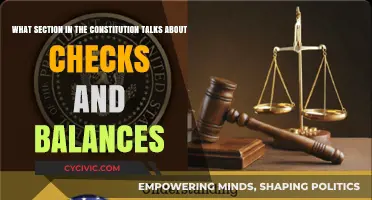 The Constitution's Checks and Balances: Which Section?