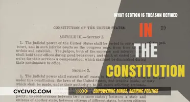 Exploring Treason: Constitutional Definition and Section