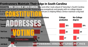 South Carolina's Constitution: Voting Rights Explained