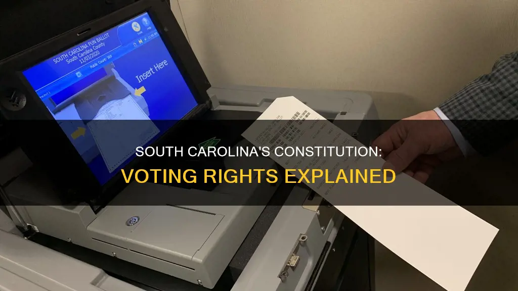 what section of south carolina constitution addresses voting