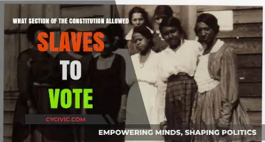 The Constitution's Complex Legacy: Voting Rights