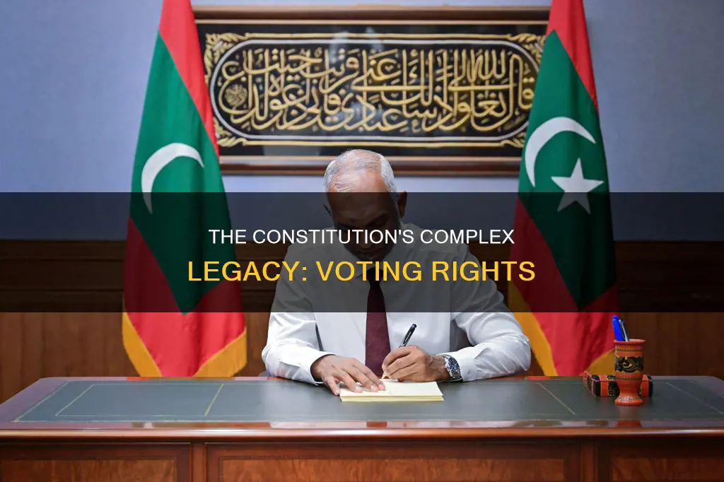 what section of the constitution allowed slaves to vote