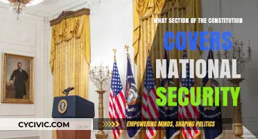 The Constitution's National Security Provisions: A Comprehensive Guide