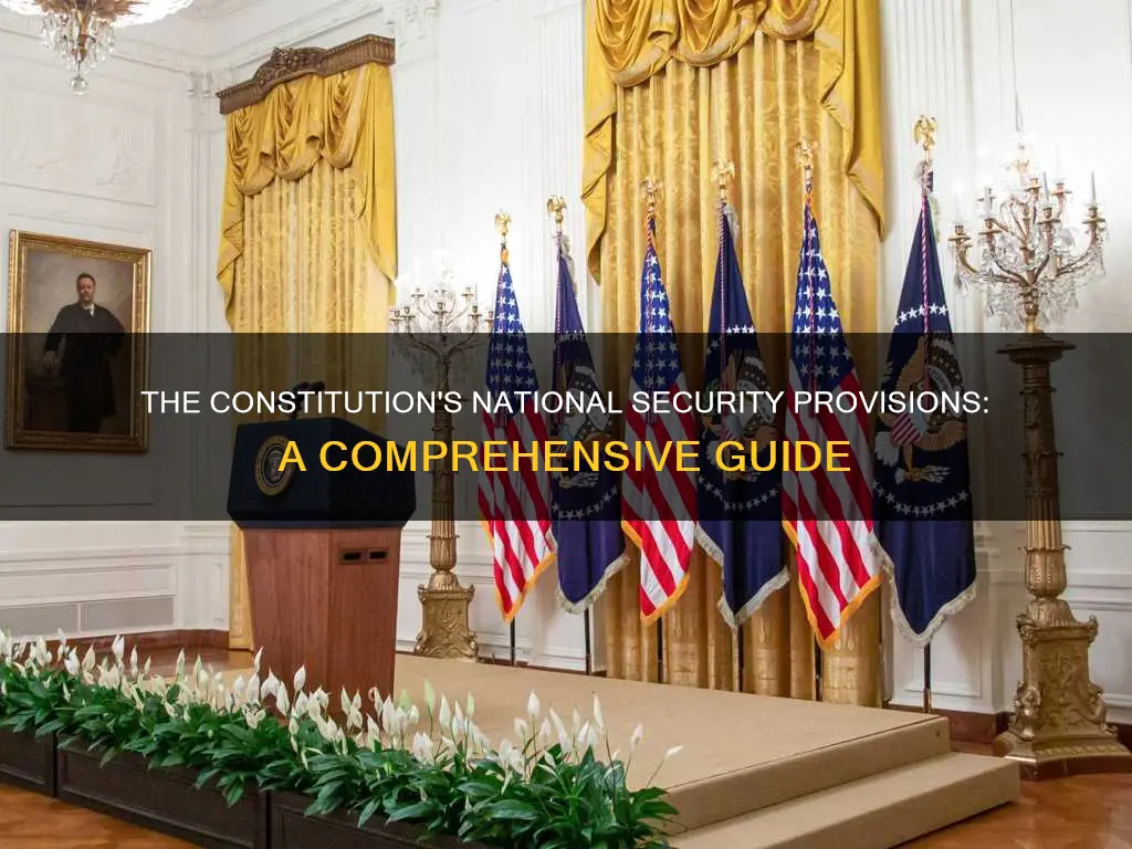 what section of the constitution covers national security