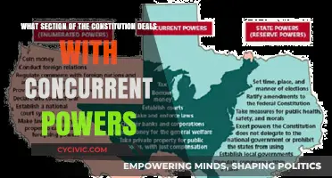 Exploring the Constitution's Concurrent Powers Section
