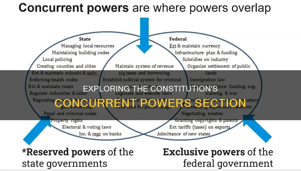 what section of the constitution deals with concurrent powers