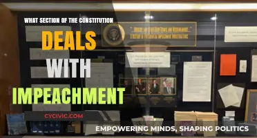 Impeachment Clause: The Constitution's Ultimate Safety Net
