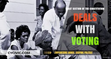 The Constitution's Voting Rights Section: Understanding the Basics