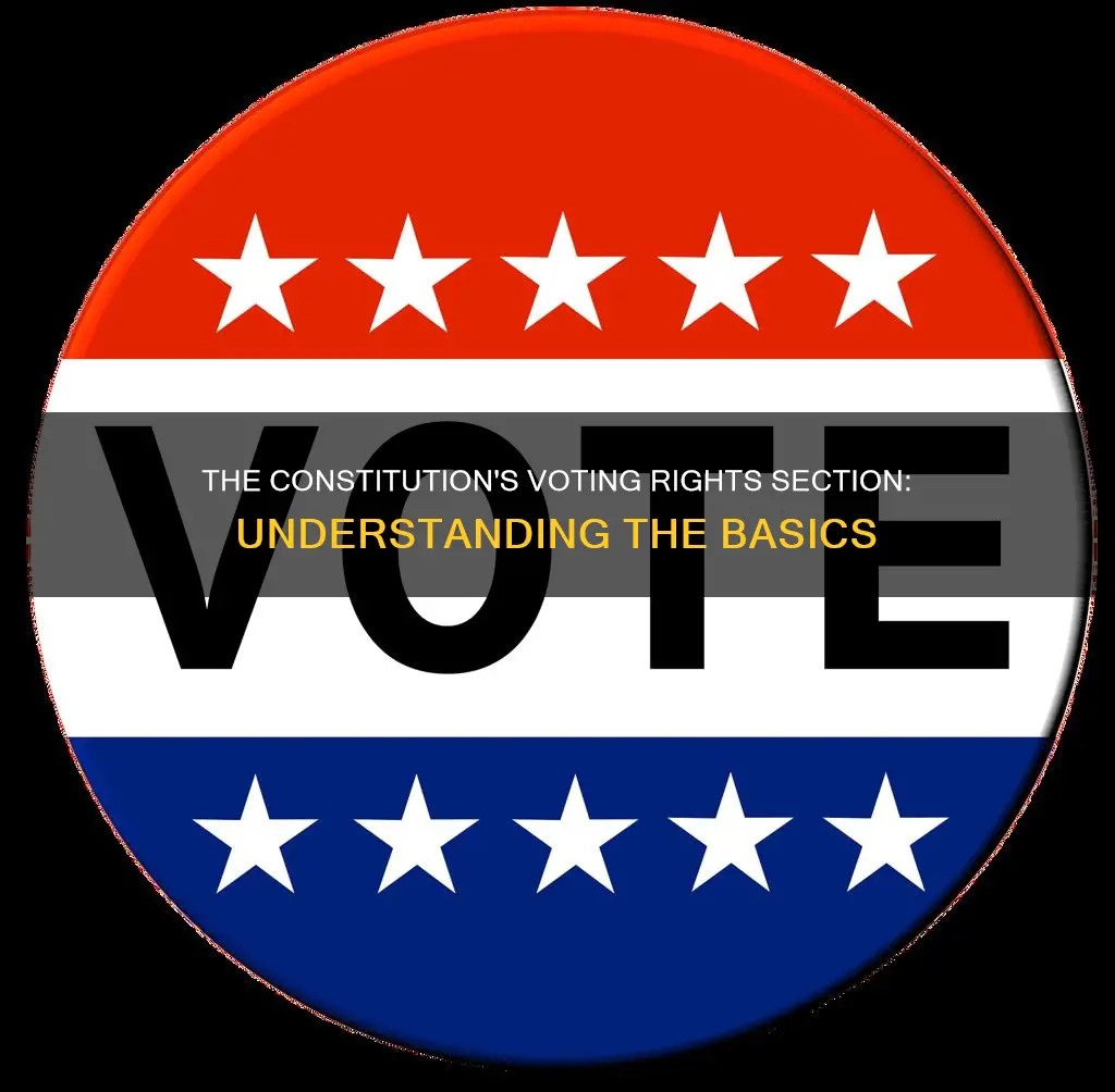 what section of the constitution deals with voting