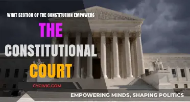 The Constitutional Court: Empowered by Which Section?