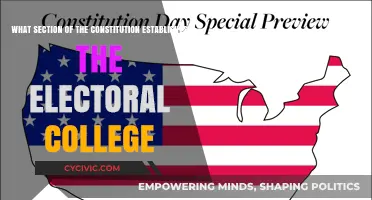 The Electoral College: A Constitutional Conundrum