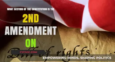 The Second Amendment: Constitutional Right to Bear Arms