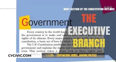 The Executive Branch: Constitutional Foundation