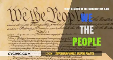 The Constitution's "We the People" Section