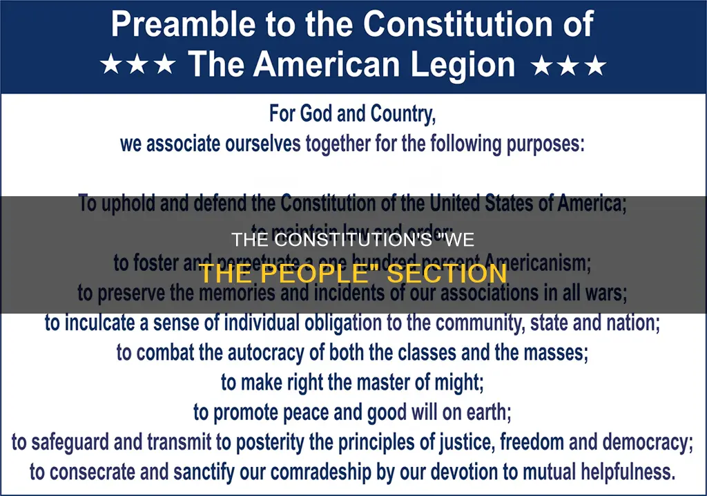 what section of the constitution said we the people