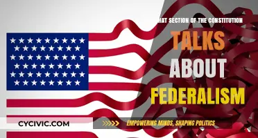 Federalism: Which Section of the Constitution?