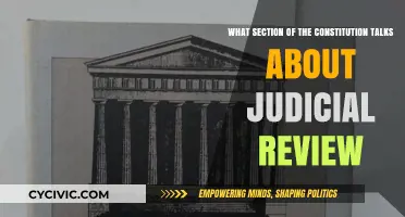 The Constitution's Judicial Review: Which Section?