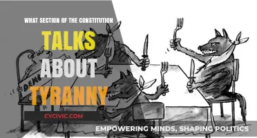 The Constitution's Anti-Tyranny Measures: What You Need to Know