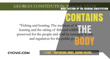 Georgia Constitution: Where Does the Body Belong?