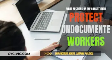 Undocumented Workers: Constitutional Protections and Their Limits