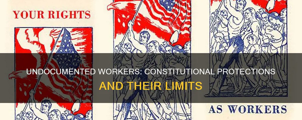 what sections of the constitution protect undocumented workers