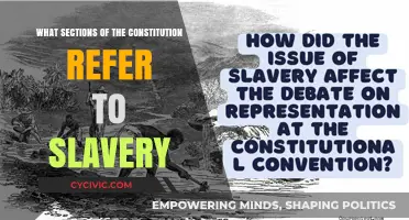 Slavery's Dark Legacy in the Constitution
