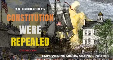 Exploring the NYS Constitution's Repealed Sections