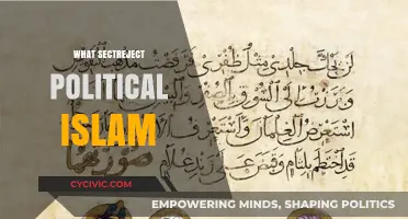 Understanding Sectarian Rejection of Political Islam: Causes and Implications