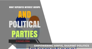 Interest Groups vs. Political Parties: Key Differences and Roles in Democracy