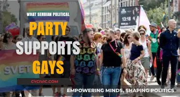Which Serbian Political Party Advocates for LGBTQ+ Rights and Equality?
