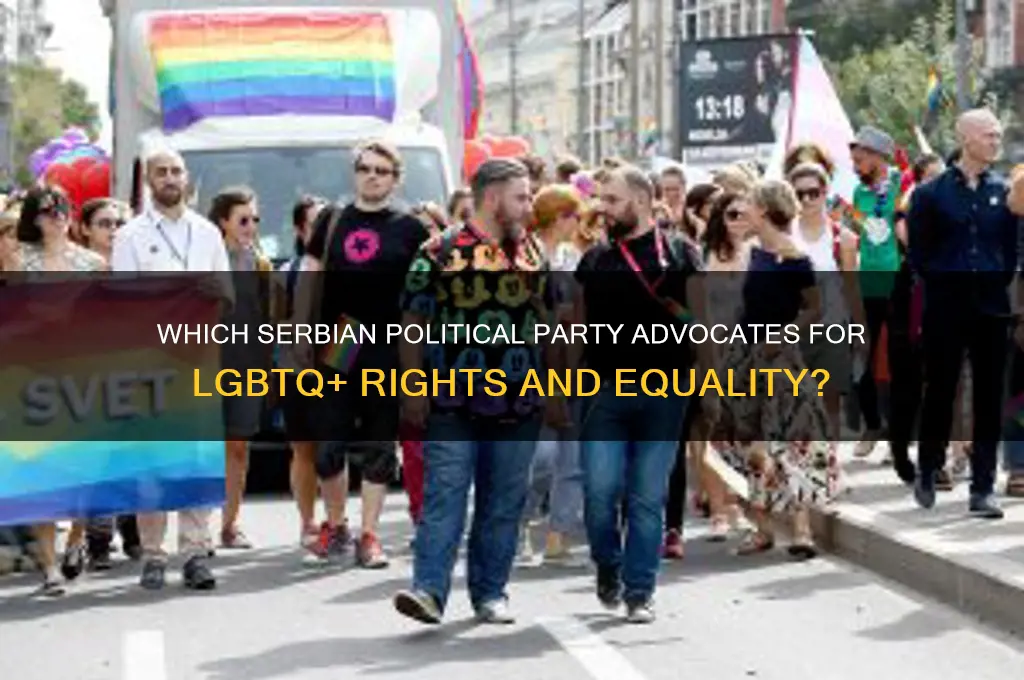 what serbian political party supports gays