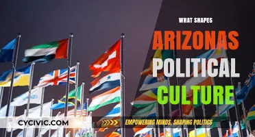 Exploring Arizona's Political Culture: Influences, Trends, and Shaping Factors