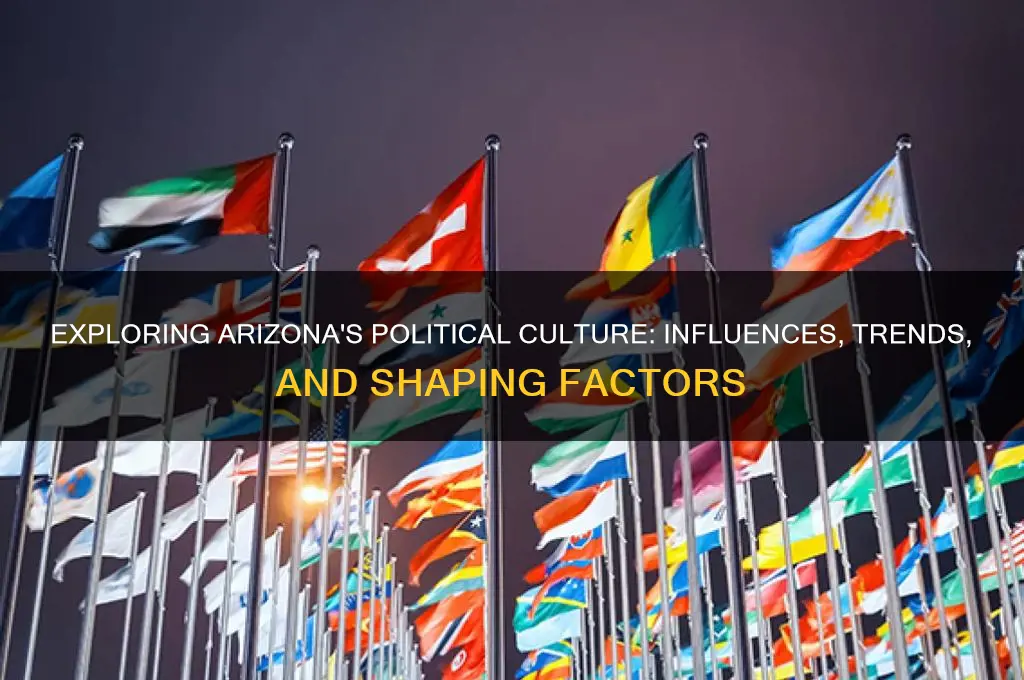 what shapes arizonas political culture