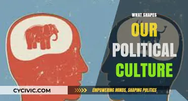Exploring the Forces That Mold Our Political Culture and Beliefs