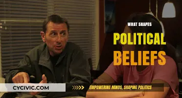Understanding the Complex Factors That Shape Political Beliefs and Ideologies