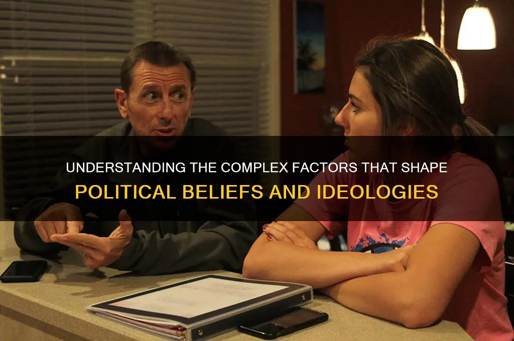 what shapes political beliefs