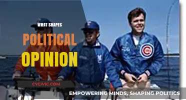 Factors Influencing Political Beliefs: Understanding What Shapes Public Opinion