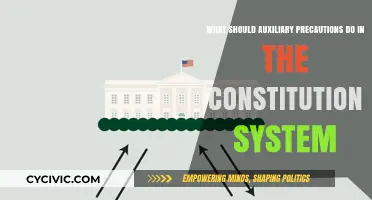 Auxiliary Precautions: Safeguarding the Constitutional System