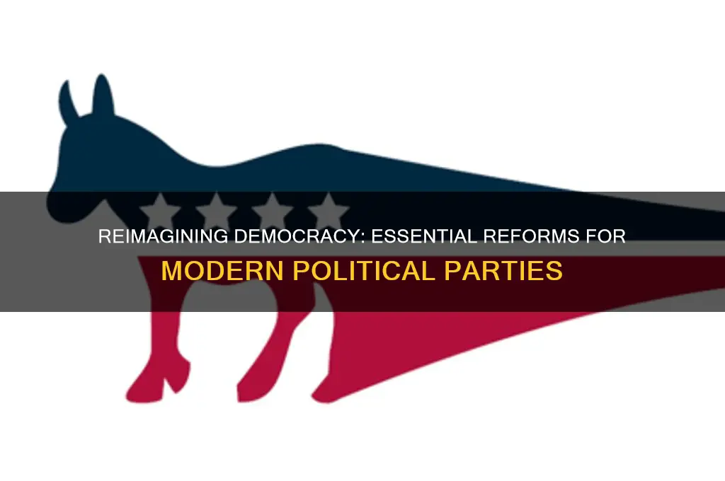 what should be changed about political parties