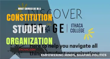 Student Organization: Constitution Essentials