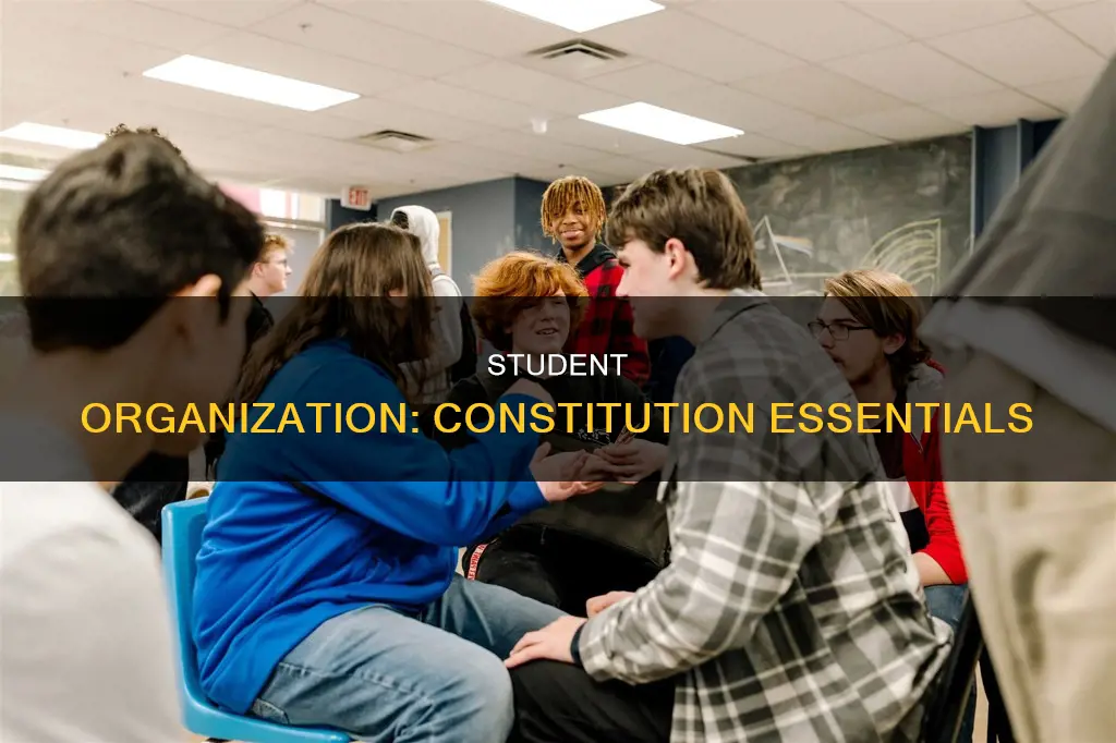 what should be in a constitution student organization