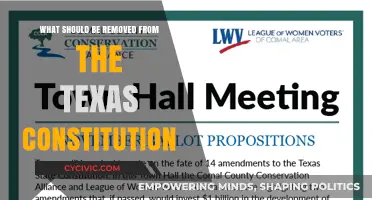 Texas Constitution: What Should Be Removed?