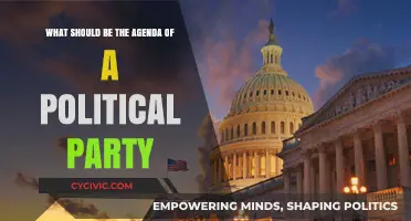 Crafting a Winning Political Agenda: Priorities, Policies, and Public Trust