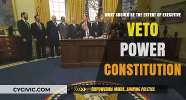 Executive Veto Power: Limits and Constitutional Balance