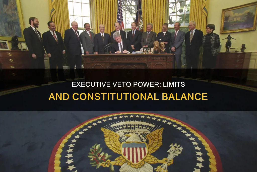 what should be the extent of executive veto power constitution