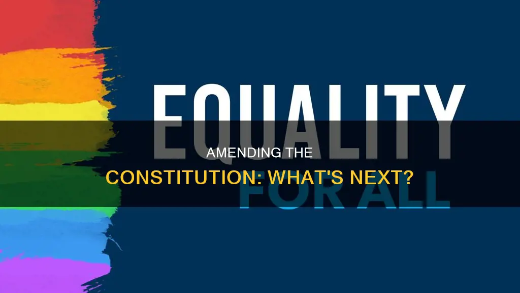 what should be the next constitutional amendment