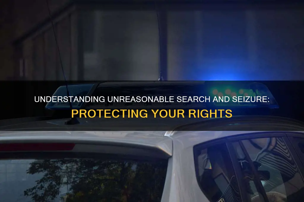 what should constitute an unreasonable search and seizure