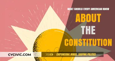 Understanding the Constitution: Every American's Duty